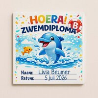 Zwemdiploma B tegeltje
