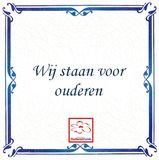 Delfts Blauw tegeltje (nr. 33 met logo)