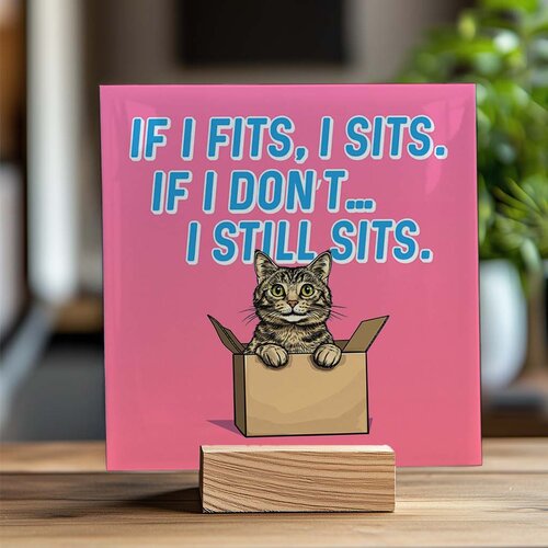 Tegeltje - Kat in een doos