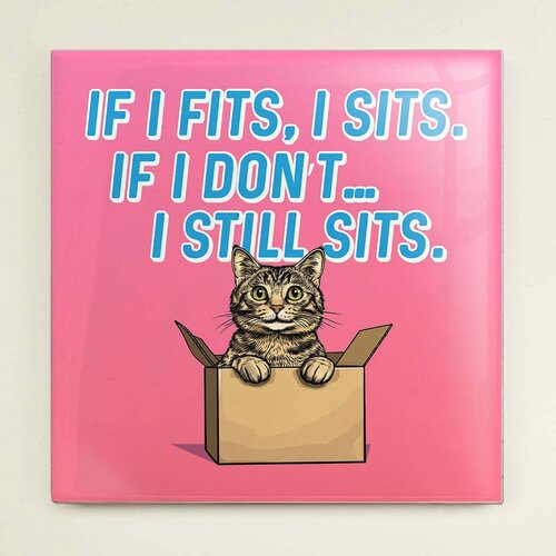 Tegeltje - Kat in een doos