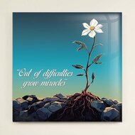 Tegeltje - Miracles